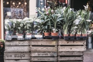How to Create the Life You Want
