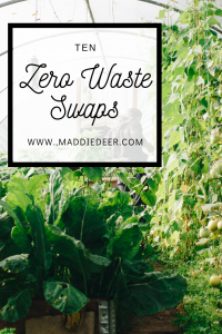 Simple Zero Waste Swaps