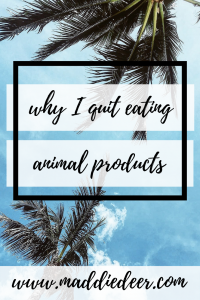 Why I quit eating animal products