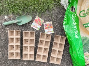 Spring gardening