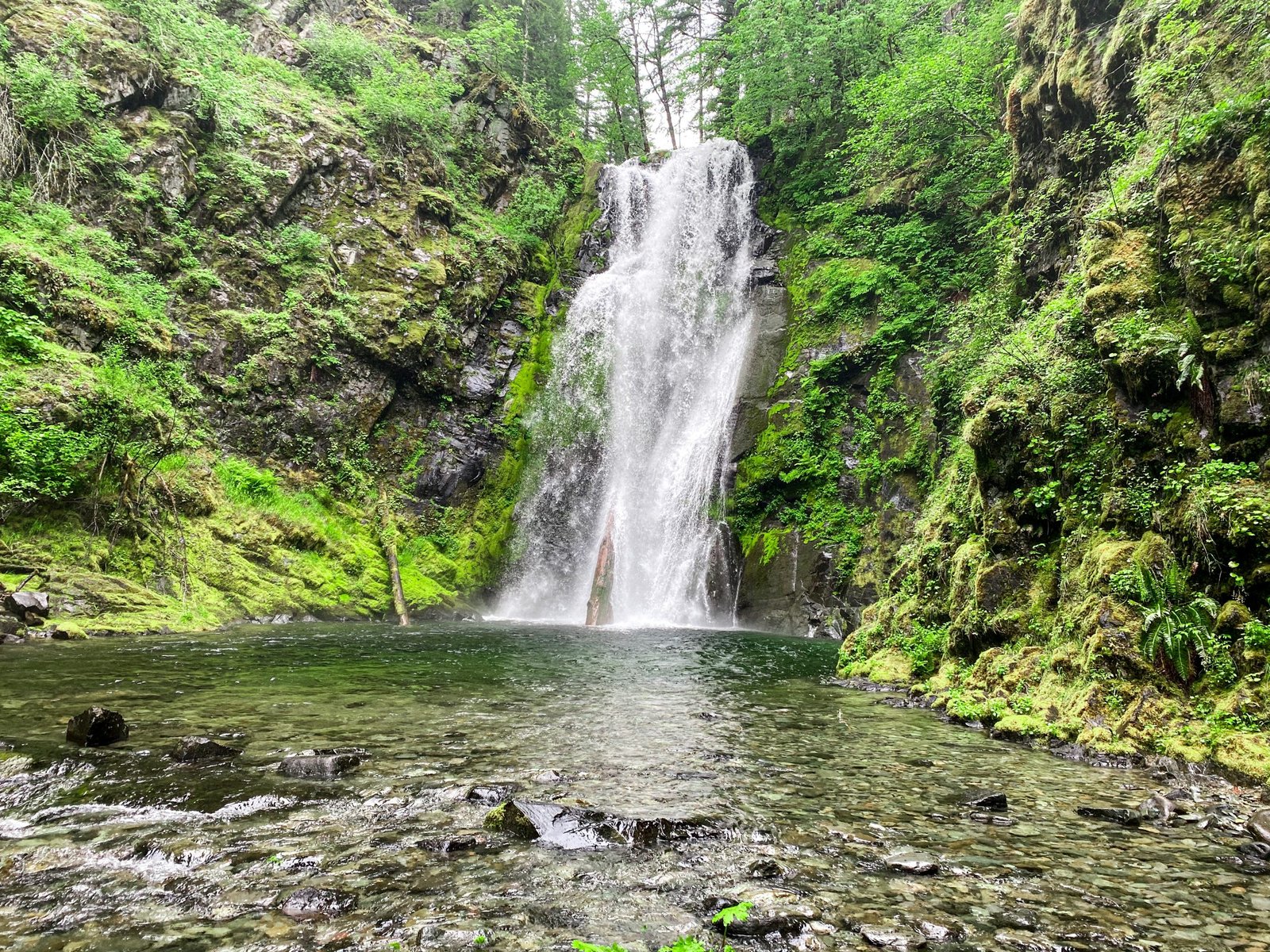 Chinook Falls Washington