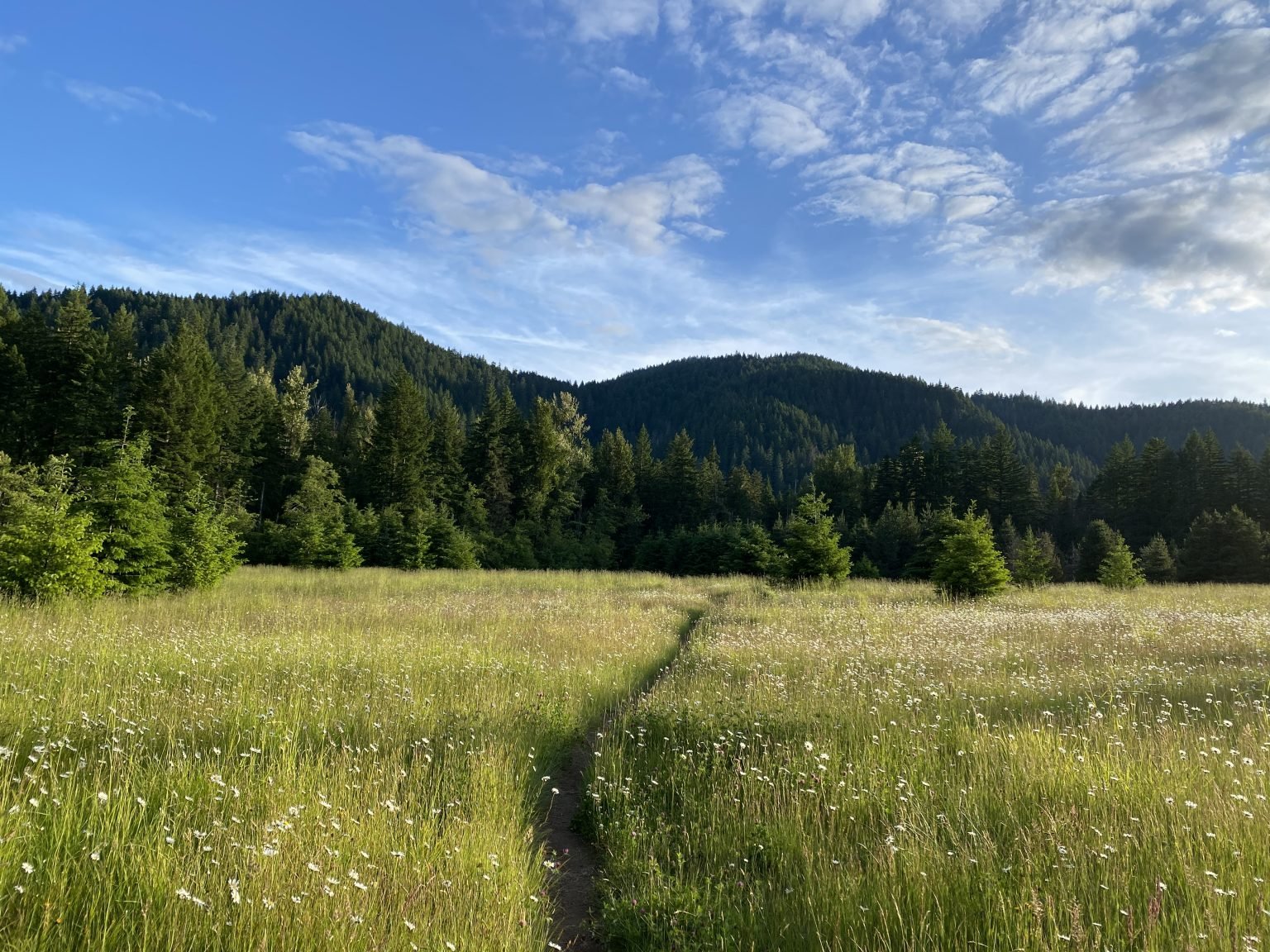 The Best Hikes in the Gifford Pinchot National Forest - Maddie Deer