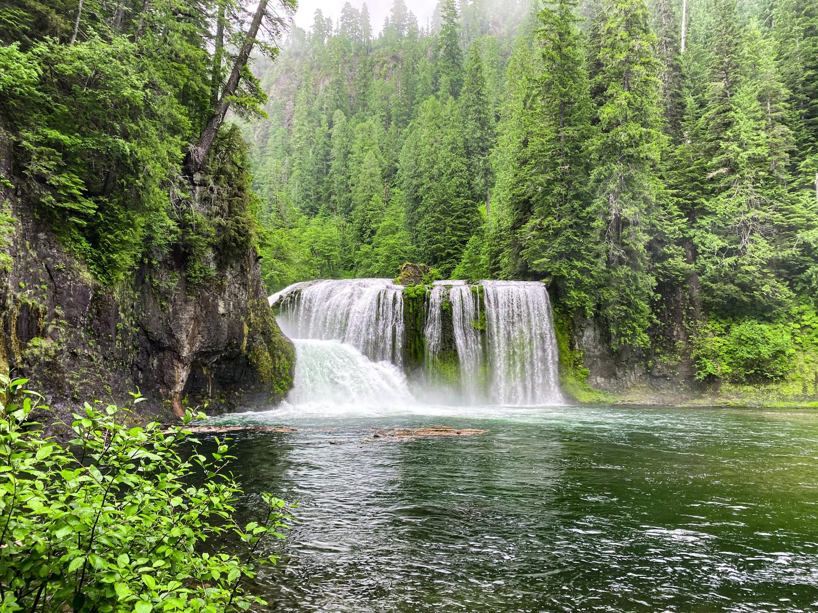 Best Hikes in gifford pinchot