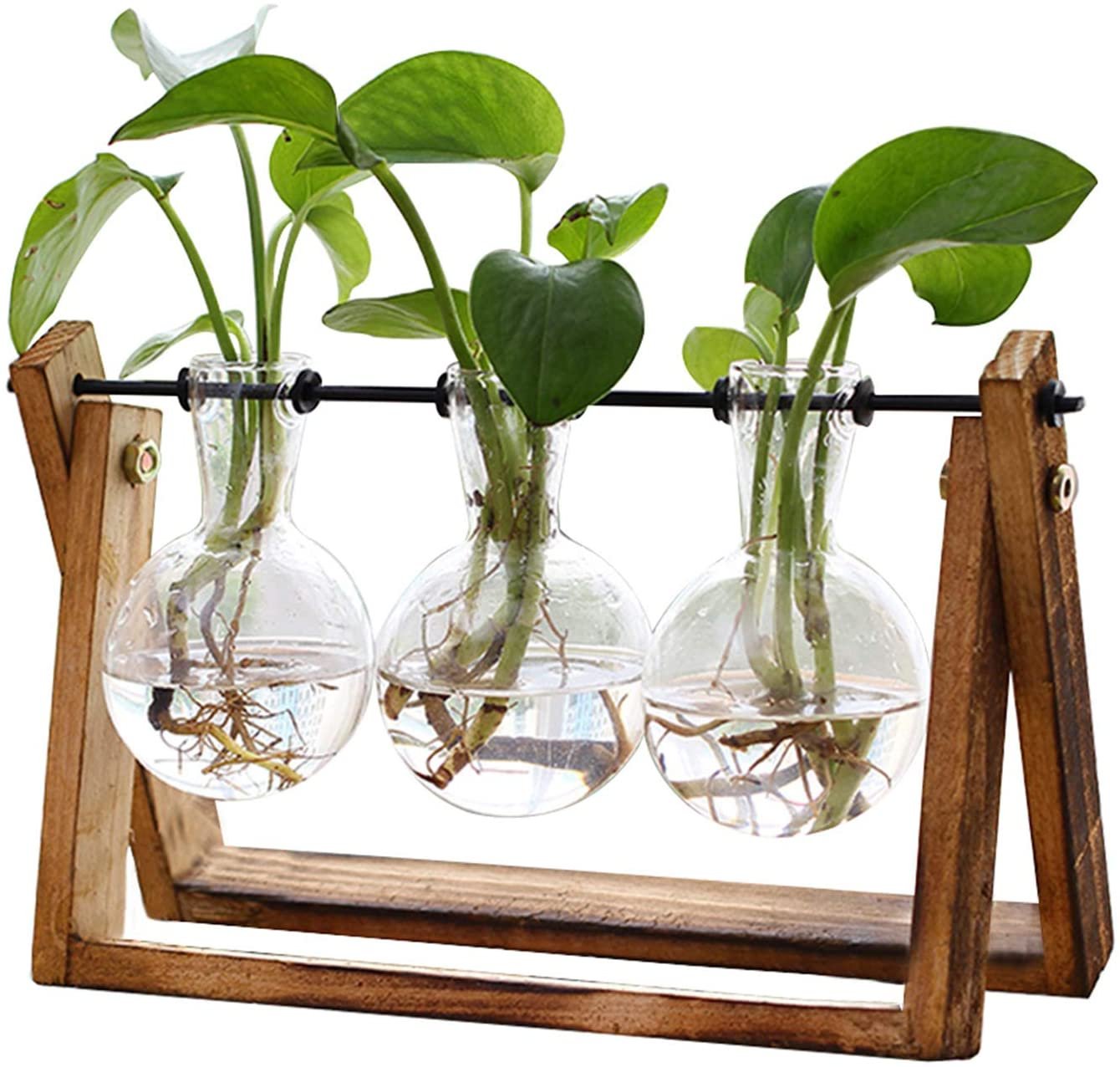 Propogation Jars