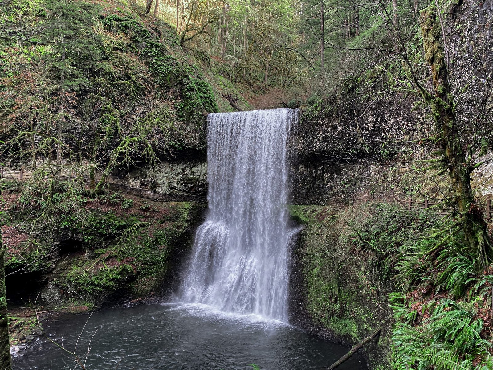 Picture of large waterfall in SIlver Falls State Park