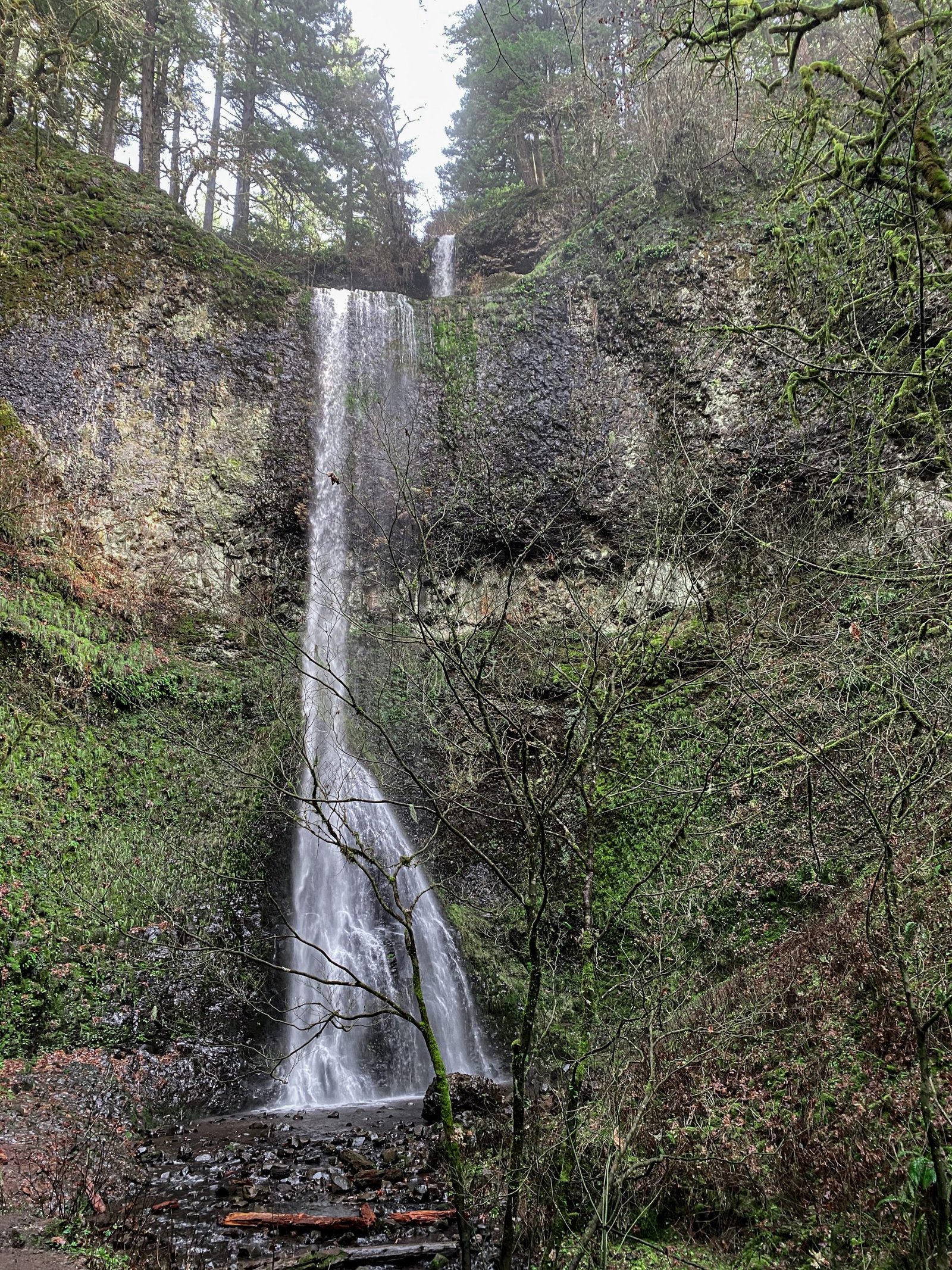 Picture of double waterfall in Silver Falls State Park