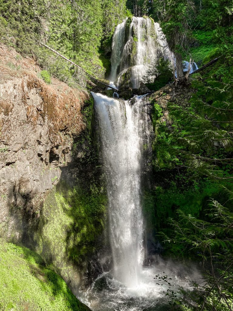 Falls Creek Falls: What to Know Before Hiking - Maddie Deer