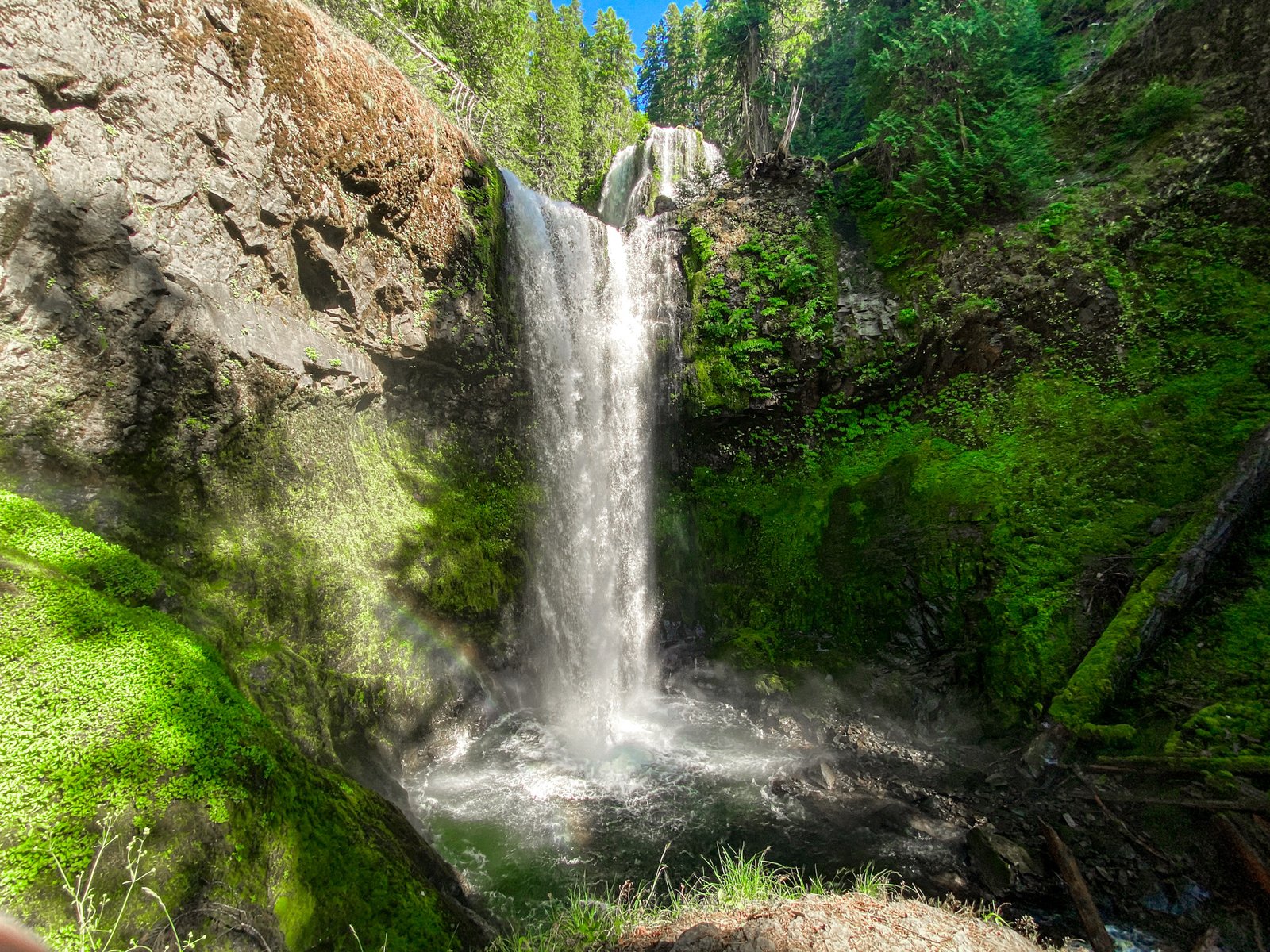 Falls Creek Falls Trail