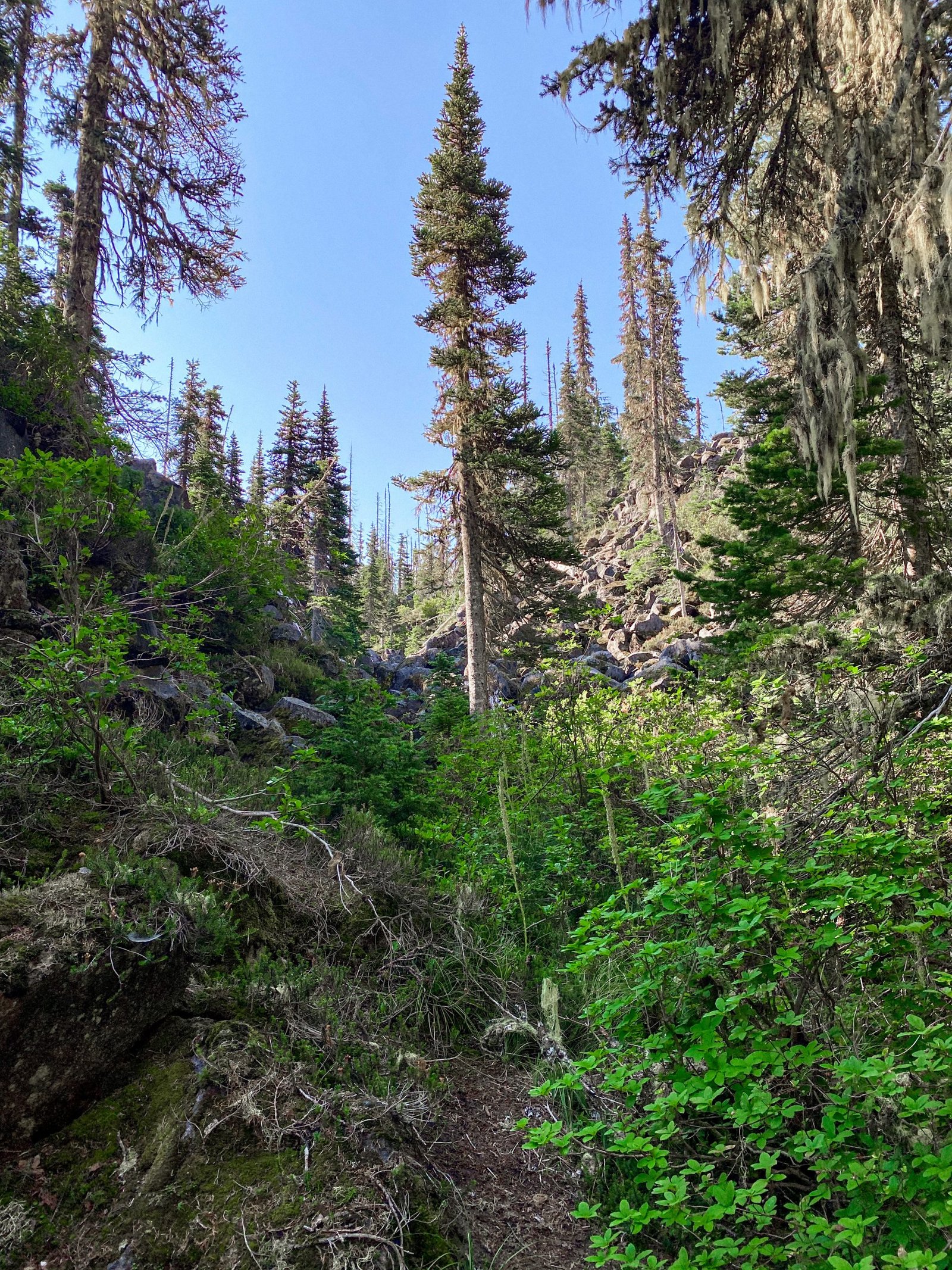 Takhlakh Lake + Campground: A Hidden PNW Gem - Maddie Deer